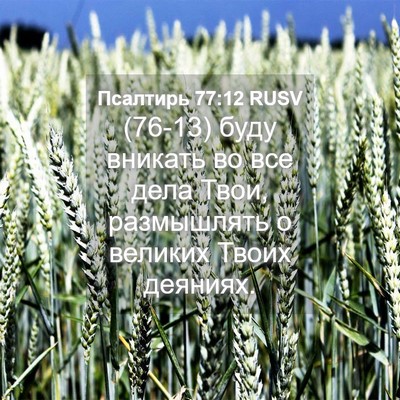 Picture 04 - Псалтирь 77:12 RUSV - (76-13) буду вникать во все - Bible Verse Picture