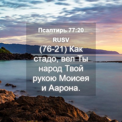 Picture 04 - Псалтирь 77:20 RUSV - (76-21) Как стадо, вел Ты народ - Bible Verse Picture