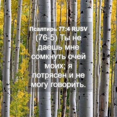 Picture 04 - Псалтирь 77:4 RUSV - (76-5) Ты не даешь мне - Bible Verse Picture