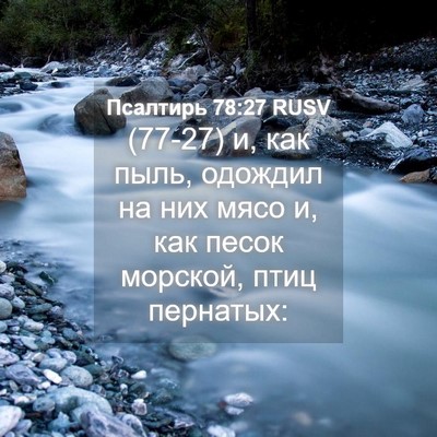 Picture 04 - Псалтирь 78:27 RUSV - (77-27) и, как пыль, одождил на - Bible Verse Picture