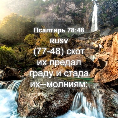 Picture 04 - Псалтирь 78:48 RUSV - (77-48) скот их предал граду и - Bible Verse Picture