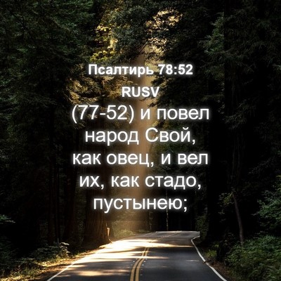 Picture 04 - Псалтирь 78:52 RUSV - (77-52) и повел народ Свой, как - Bible Verse Picture