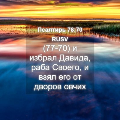 Picture 04 - Псалтирь 78:70 RUSV - (77-70) и избрал Давида, раба - Bible Verse Picture