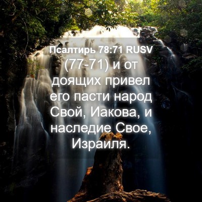 Picture 04 - Псалтирь 78:71 RUSV - (77-71) и от доящих привел его - Bible Verse Picture