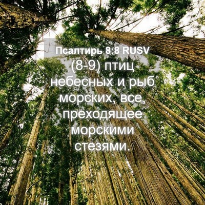 Picture 04 - Псалтирь 8:8 RUSV - (8-9) птиц небесных и рыб - Bible Verse Picture