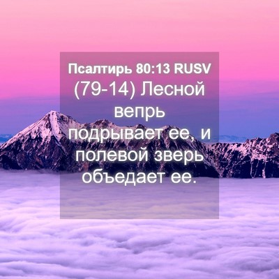 Picture 04 - Псалтирь 80:13 RUSV - (79-14) Лесной вепрь - Bible Verse Picture