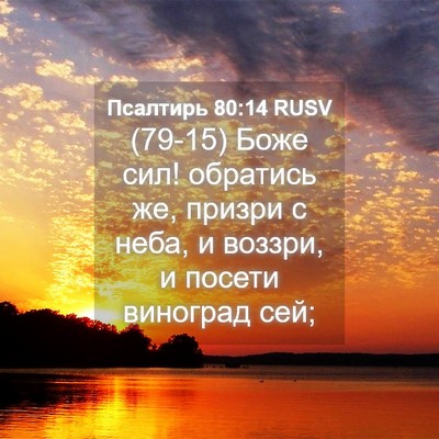 Picture 04 - Псалтирь 80:14 RUSV - (79-15) Боже сил! обратись же, - Bible Verse Picture