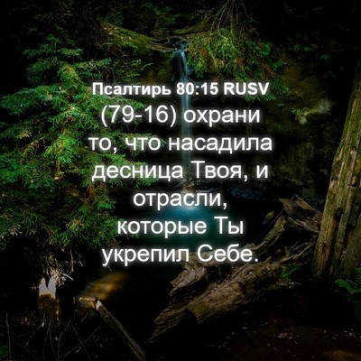 Picture 04 - Псалтирь 80:15 RUSV - (79-16) охрани то, что - Bible Verse Picture