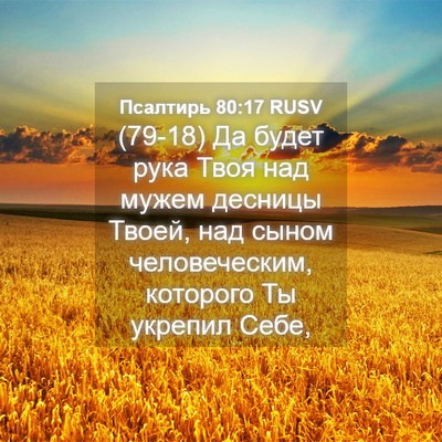 Picture 04 - Псалтирь 80:17 RUSV - (79-18) Да будет рука Твоя над - Bible Verse Picture