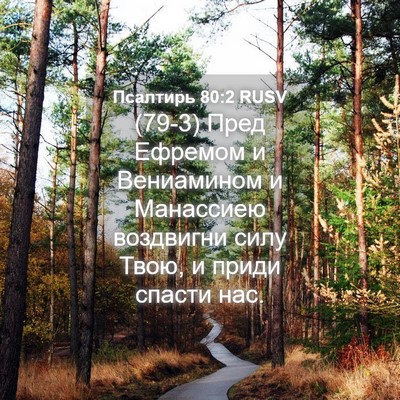 Picture 04 - Псалтирь 80:2 RUSV - (79-3) Пред Ефремом и - Bible Verse Picture