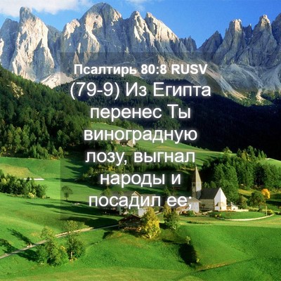 Picture 04 - Псалтирь 80:8 RUSV - (79-9) Из Египта перенес Ты - Bible Verse Picture