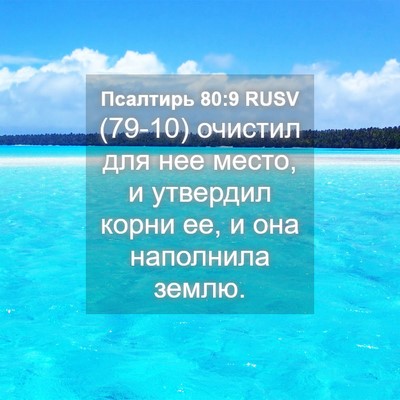 Picture 04 - Псалтирь 80:9 RUSV - (79-10) очистил для нее место, - Bible Verse Picture