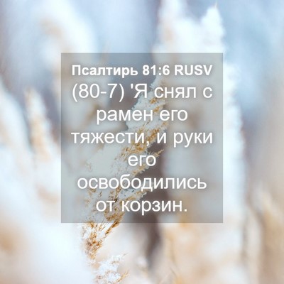 Picture 04 - Псалтирь 81:6 RUSV - (80-7) 'Я снял с рамен его - Bible Verse Picture