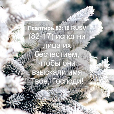 Picture 04 - Псалтирь 83:16 RUSV - (82-17) исполни лица их - Bible Verse Picture