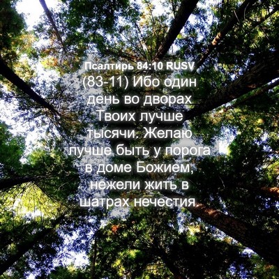 Picture 04 - Псалтирь 84:10 RUSV - (83-11) Ибо один день во - Bible Verse Picture