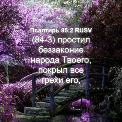 Picture 04 - Псалтирь 85:2 RUSV - (84-3) простил беззаконие - Bible Verse Picture