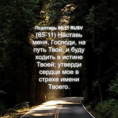 Picture 04 - Псалтирь 86:11 RUSV - (85-11) Наставь меня, Господи, - Bible Verse Picture