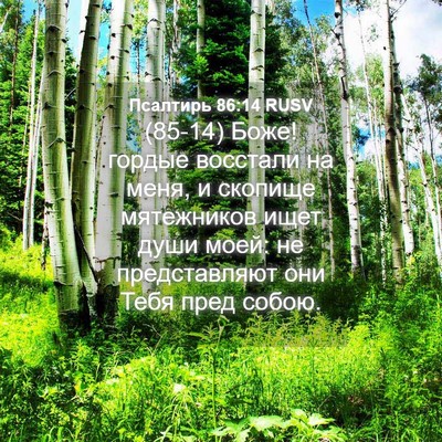 Picture 04 - Псалтирь 86:14 RUSV - (85-14) Боже! гордые восстали - Bible Verse Picture