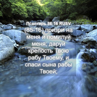 Picture 04 - Псалтирь 86:16 RUSV - (85-16) призри на меня и - Bible Verse Picture