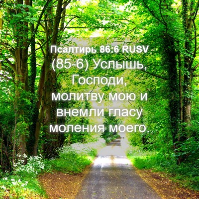 Picture 04 - Псалтирь 86:6 RUSV - (85-6) Услышь, Господи, - Bible Verse Picture
