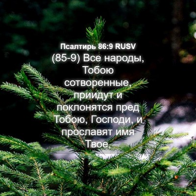 Picture 04 - Псалтирь 86:9 RUSV - (85-9) Все народы, Тобою - Bible Verse Picture