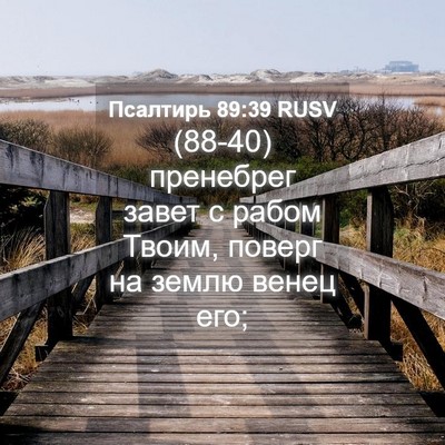 Picture 04 - Псалтирь 89:39 RUSV - (88-40) пренебрег завет с - Bible Verse Picture