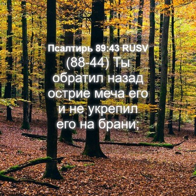 Picture 04 - Псалтирь 89:43 RUSV - (88-44) Ты обратил назад - Bible Verse Picture