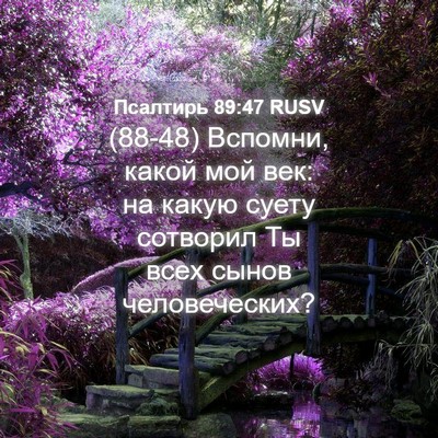 Picture 04 - Псалтирь 89:47 RUSV - (88-48) Вспомни, какой мой век: - Bible Verse Picture