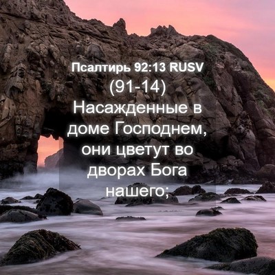 Picture 04 - Псалтирь 92:13 RUSV - (91-14) Насажденные в доме - Bible Verse Picture