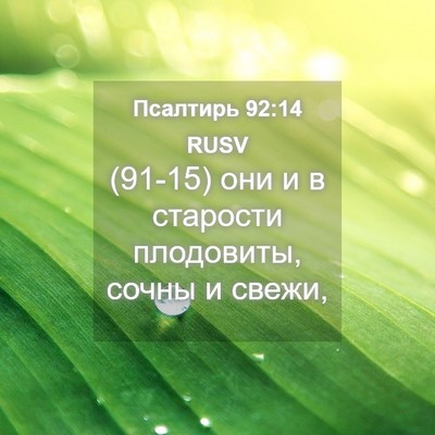 Picture 04 - Псалтирь 92:14 RUSV - (91-15) они и в старости - Bible Verse Picture