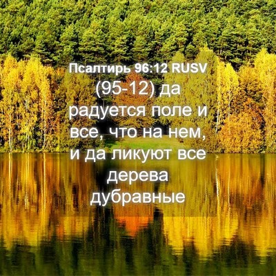 Picture 04 - Псалтирь 96:12 RUSV - (95-12) да радуется поле и все, - Bible Verse Picture