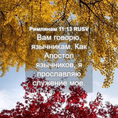 Picture 04 - Римлянам 11:13 RUSV - Вам говорю, язычникам. Как - Bible Verse Picture