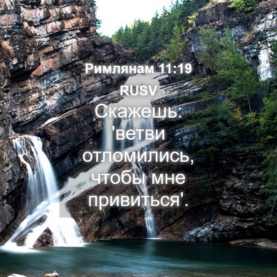 Picture 04 - Римлянам 11:19 RUSV - Скажешь: 'ветви отломились, - Bible Verse Picture