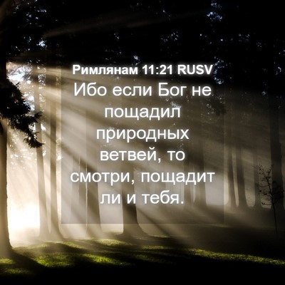 Picture 04 - Римлянам 11:21 RUSV - Ибо если Бог не пощадил - Bible Verse Picture