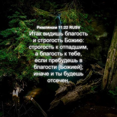 Picture 04 - Римлянам 11:22 RUSV - Итак видишь благость и - Bible Verse Picture