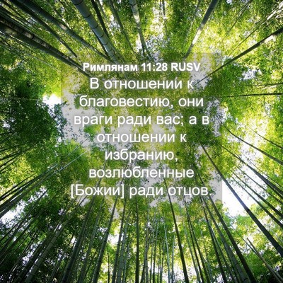 Picture 04 - Римлянам 11:28 RUSV - В отношении к благовестию, - Bible Verse Picture