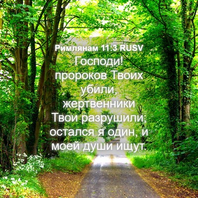Picture 04 - Римлянам 11:3 RUSV - Господи! пророков Твоих - Bible Verse Picture