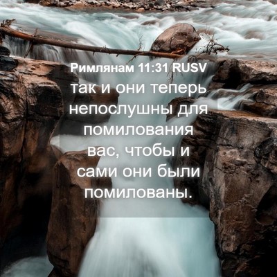 Picture 04 - Римлянам 11:31 RUSV - так и они теперь - Bible Verse Picture