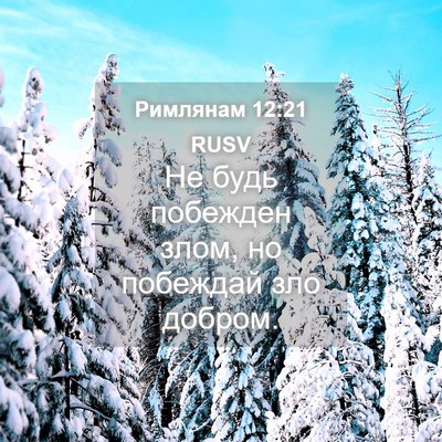 Picture 04 - Римлянам 12:21 RUSV - Не будь побежден злом, но - Bible Verse Picture