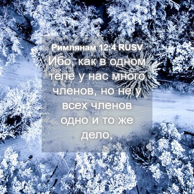 Picture 04 - Римлянам 12:4 RUSV - Ибо, как в одном теле у нас - Bible Verse Picture