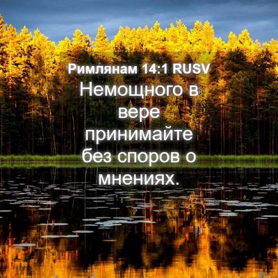 Picture 04 - Римлянам 14:1 RUSV - Немощного в вере - Bible Verse Picture