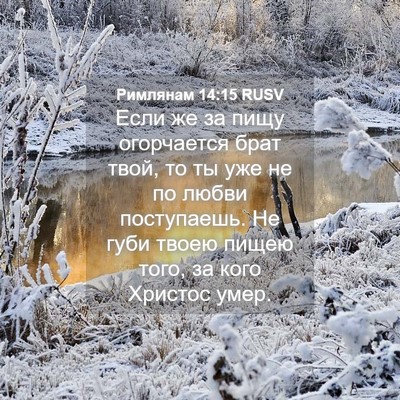 Picture 04 - Римлянам 14:15 RUSV - Если же за пищу огорчается - Bible Verse Picture