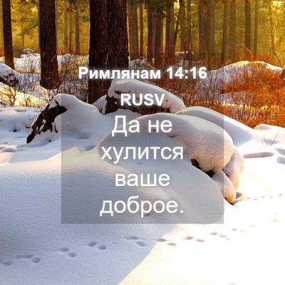 Picture 04 - Римлянам 14:16 RUSV - Да не хулится ваше - Bible Verse Picture