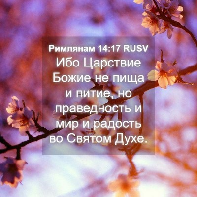 Picture 04 - Римлянам 14:17 RUSV - Ибо Царствие Божие не пища - Bible Verse Picture