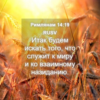 Picture 04 - Римлянам 14:19 RUSV - Итак будем искать того, что - Bible Verse Picture