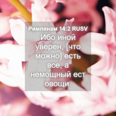 Picture 04 - Римлянам 14:2 RUSV - Ибо иной уверен, [что можно] - Bible Verse Picture