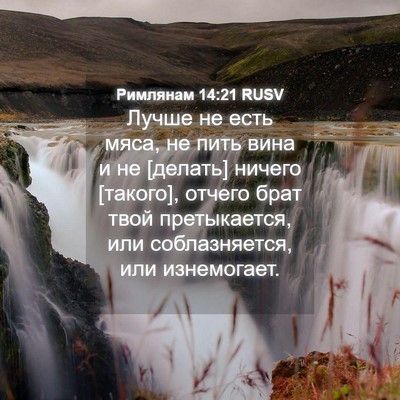 Picture 04 - Римлянам 14:21 RUSV - Лучше не есть мяса, не пить - Bible Verse Picture