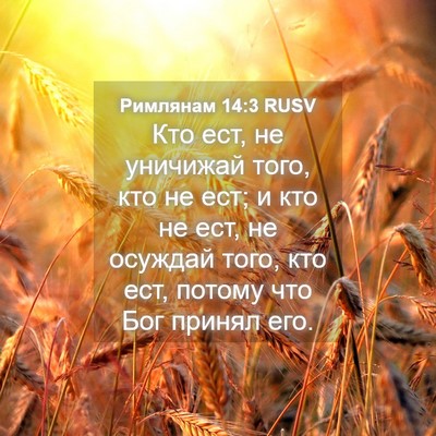 Picture 04 - Римлянам 14:3 RUSV - Кто ест, не уничижай того, - Bible Verse Picture
