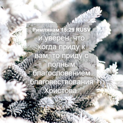 Picture 04 - Римлянам 15:29 RUSV - и уверен, что когда приду к - Bible Verse Picture