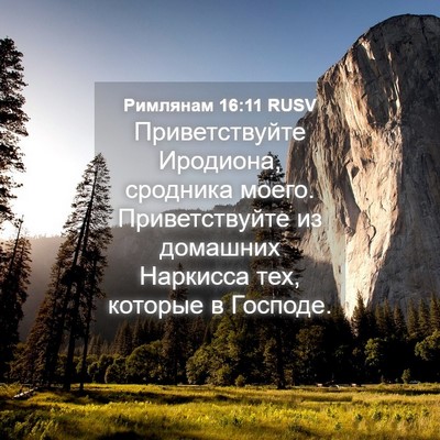 Picture 04 - Римлянам 16:11 RUSV - Приветствуйте Иродиона, - Bible Verse Picture